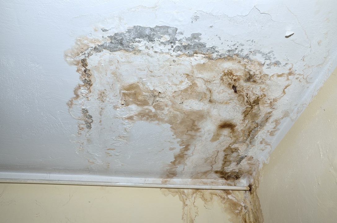 Does Your Popcorn Ceiling Have Mold Damage?